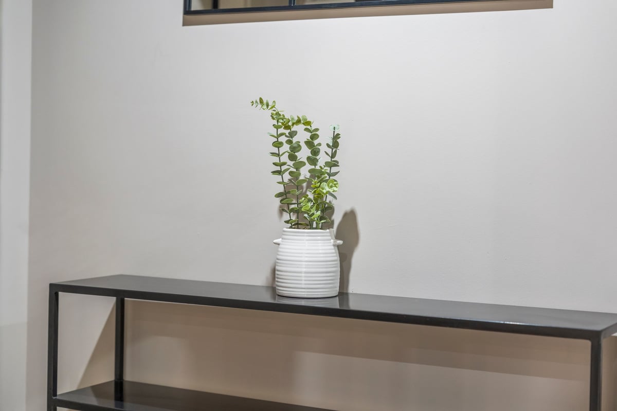 Potted green eucalyptus plant in a white ceramic pot on a black metal shelf at Athenaeum House