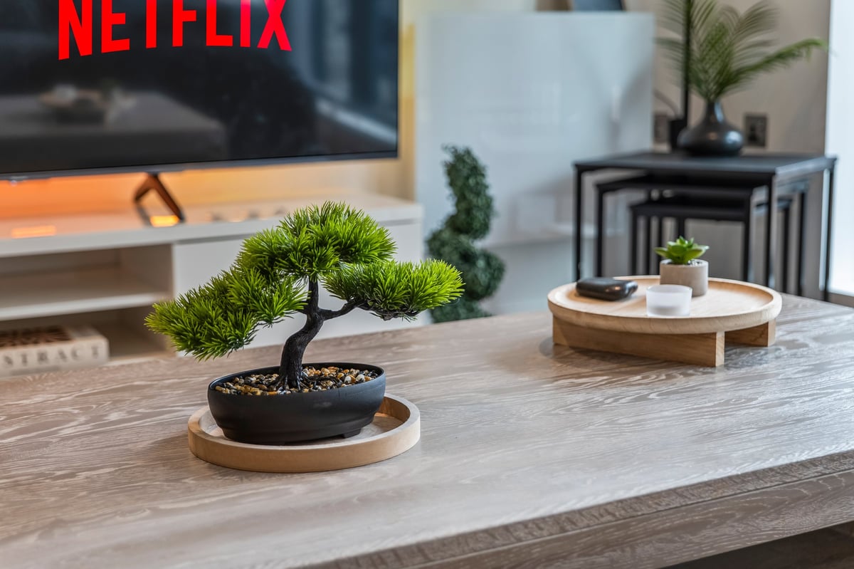 Bonsai tree in a dark pot on a wooden coffee table at the Aspire apartment with Netflix playing on the television in the background and small plants on the shelf behind
